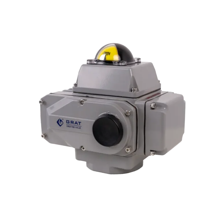 EA 100 Pt