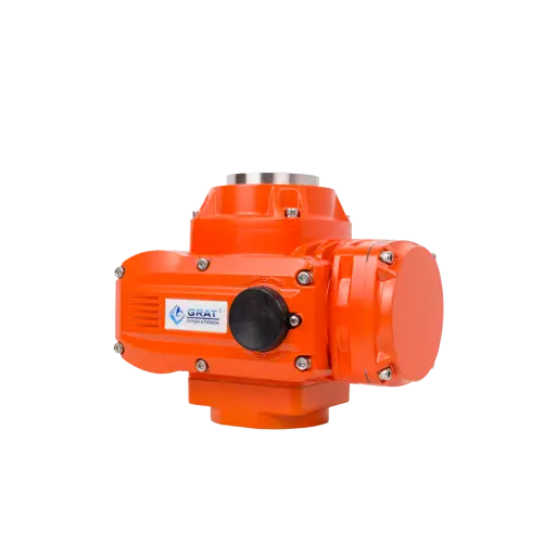 Explosion proof electric actuator