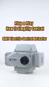 Plug & Play How it Simplify Control